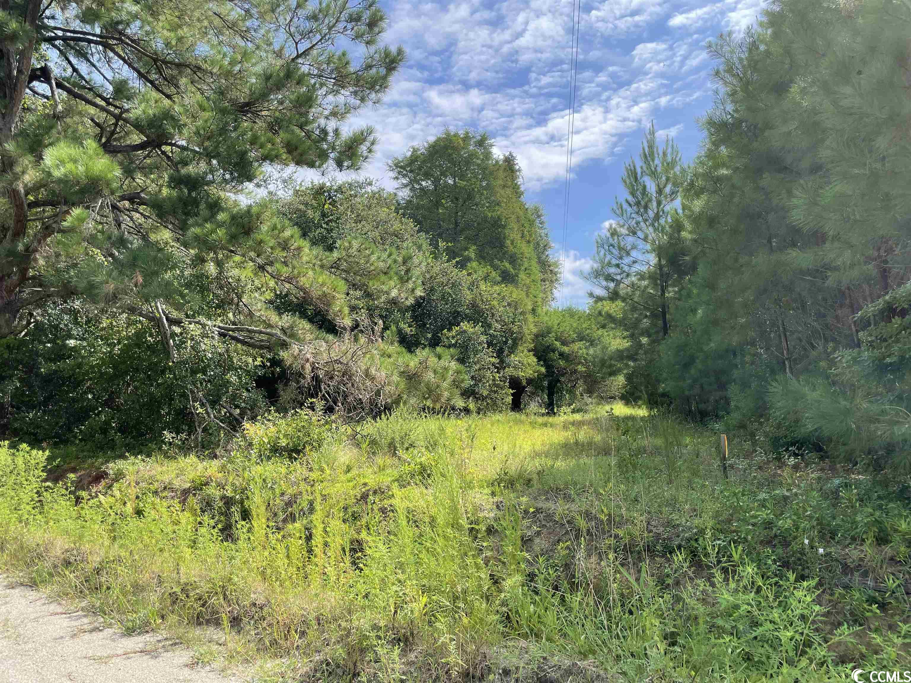 TBD Olga Ln. Loris, SC 29569