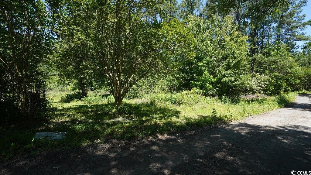 just 22 minutes north of the charming, historic coastal village of georgetown, this property allows the freedom you’ve been looking for.  -very light restrictions – mobile homes ok -legal road frontage -power available -very buildable: flat, partially cleared, no floodplain or wetlands -just 22 minutes to georgetown -priced about 30% below market  property: reach for the freedom of the countryside and escape the hustle and bustle of city life. this 1 acre lot 22 minutes north of georgetown, sc is an ideal residential tract – partially cleared, flat, no floodplain or wetlands encroachments, and easy zoning that allows for up to four mobile homes (if you so choose). the 140 feet of frontage that you’re afforded on clyde lane, a public gravel road, offers power for your lot too. the idyllic, waterfront town of georgetown – “the best kept secret in south carolina” – offers major shopping options like walmart and tractor supply co, but you’ll fall in love with its historic southern charm and oak lined streets. if you want to crank it up a notch, drive an hour east to myrtle beach and immerse yourself in beautiful, sunny beaches and thrilling entertainment. don’t miss out on your chance at this peaceful retreat for an unbeatable price!