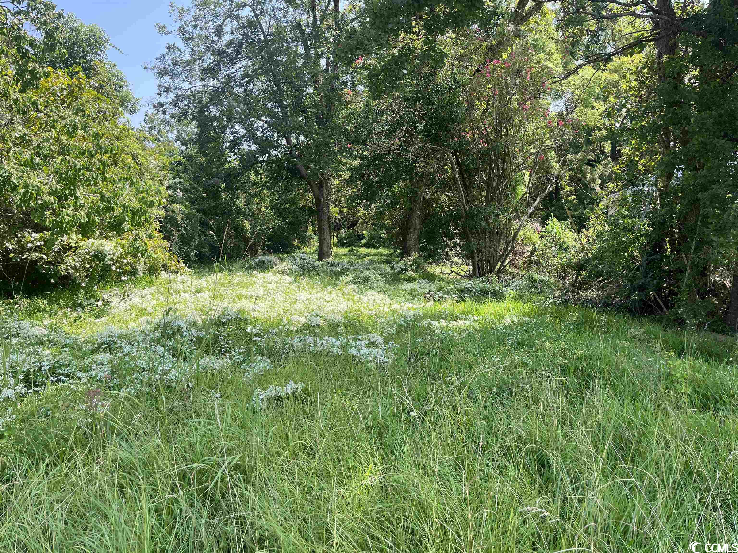 residential lot located in the city of georgetown. buyer is responsible for verifying utilities, improvements, and measurements. mobile homes not allowed. buyer can get survey if they desire. located just minutes from downtown georgetown with all the shopping and dining georgetown has to offer.