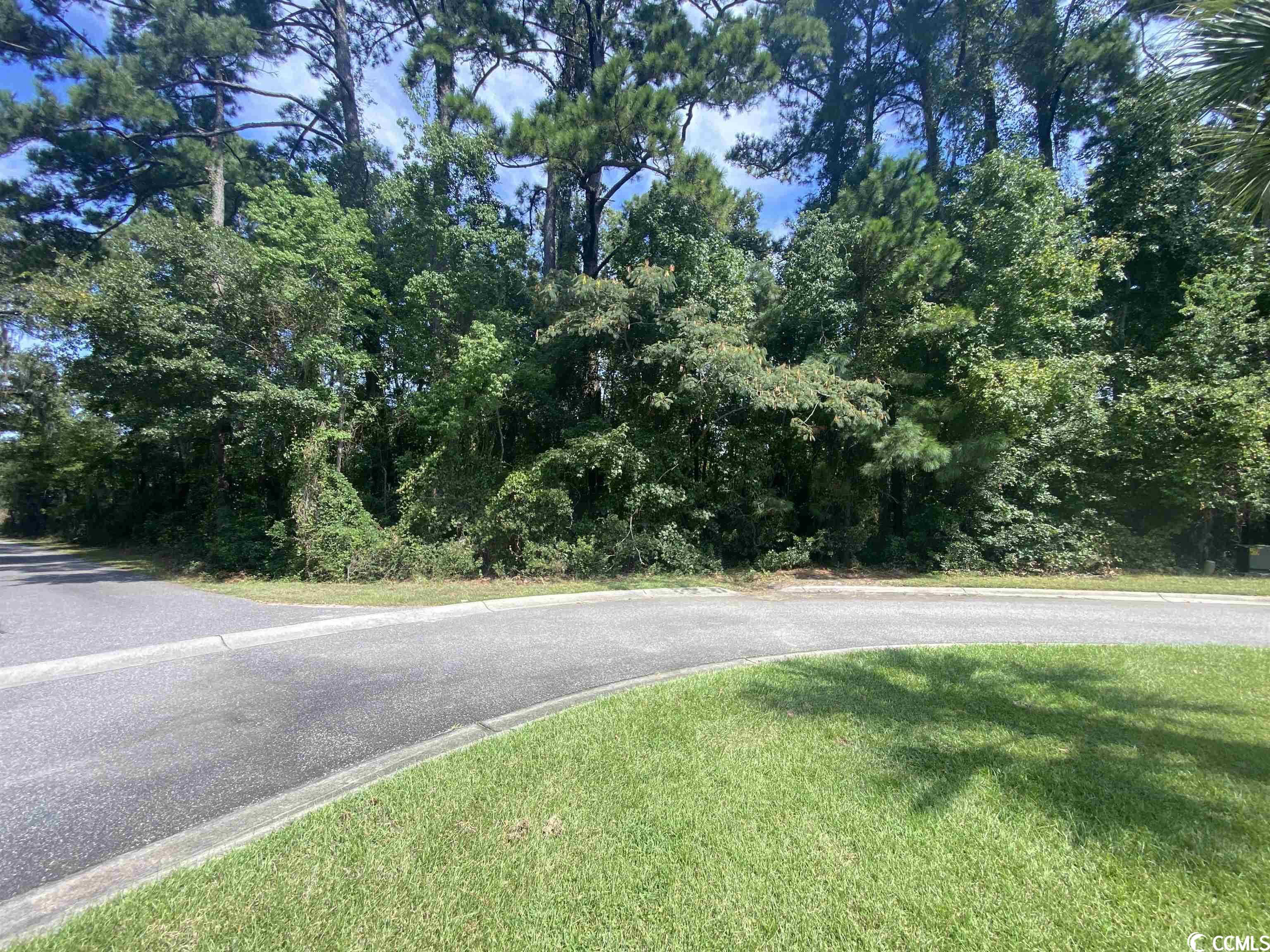 Lot 20 Oak Bay Dr. Georgetown, SC 29440