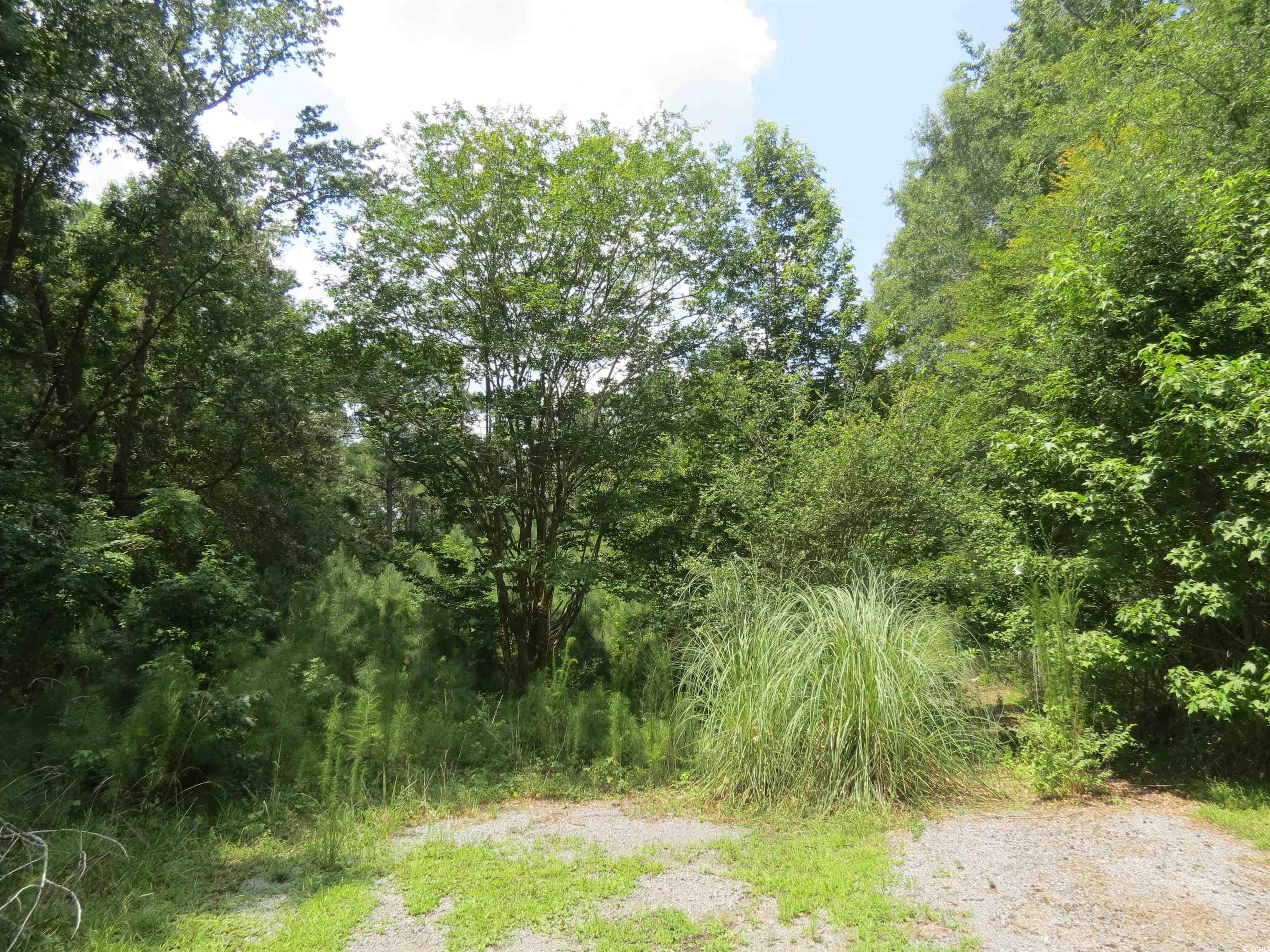 this 2.74 acre tract is wooded with a variety of trees and has plenty of room to roam. it is zoned vr-10 which allows a small business to operate out of your home if desired. all types of housing are approved if you want to build or have a modular home or mobile home. there's plenty of room for a large garden and to have plenty of animals. a mobile home was removed from this tract so there's a possibility of a well and septic system that will need to be verified. public water is available for hookup with georgetown county water and sewer district.