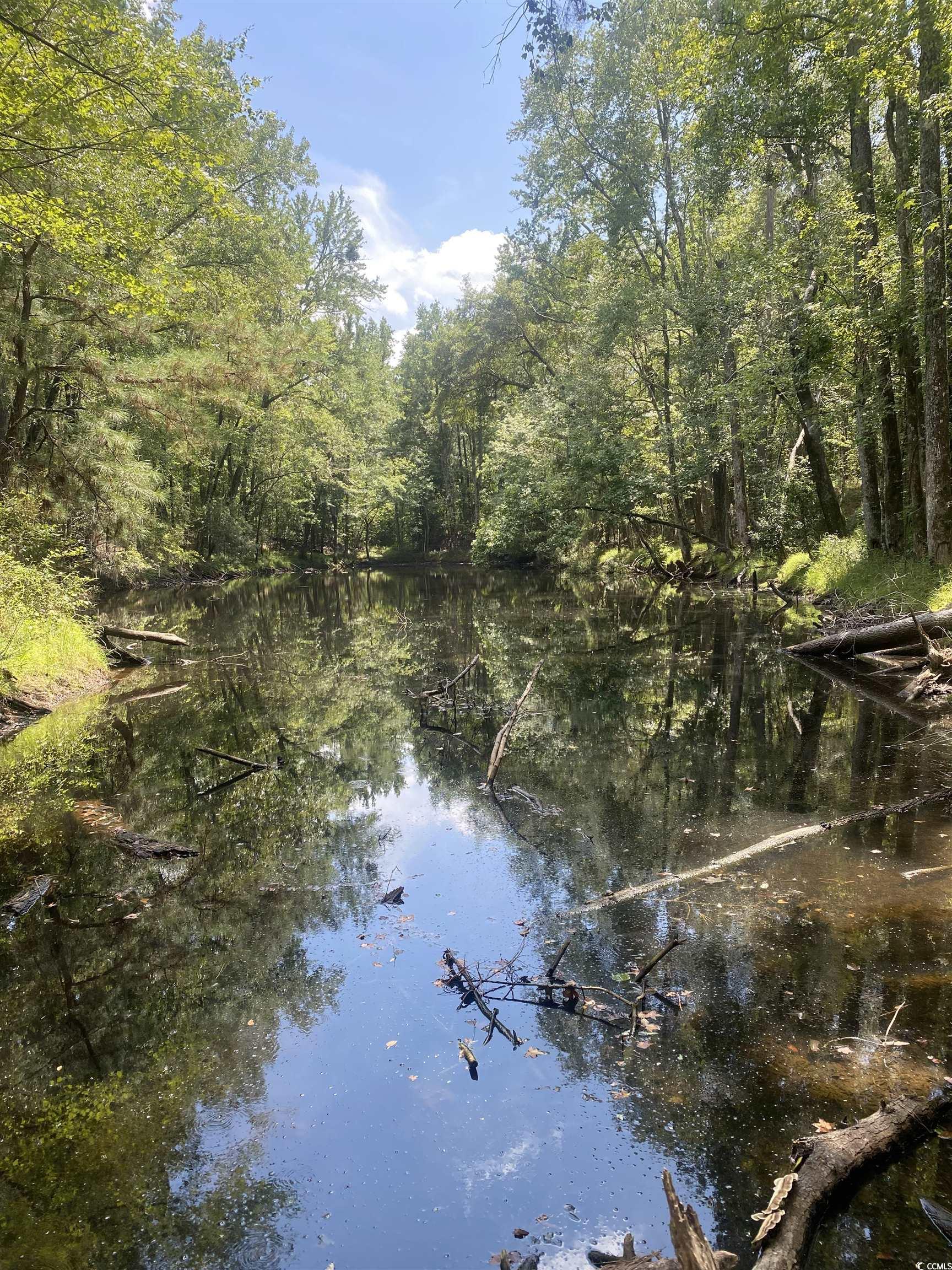 Terrell's Bay Rd. Centenary, SC 29519