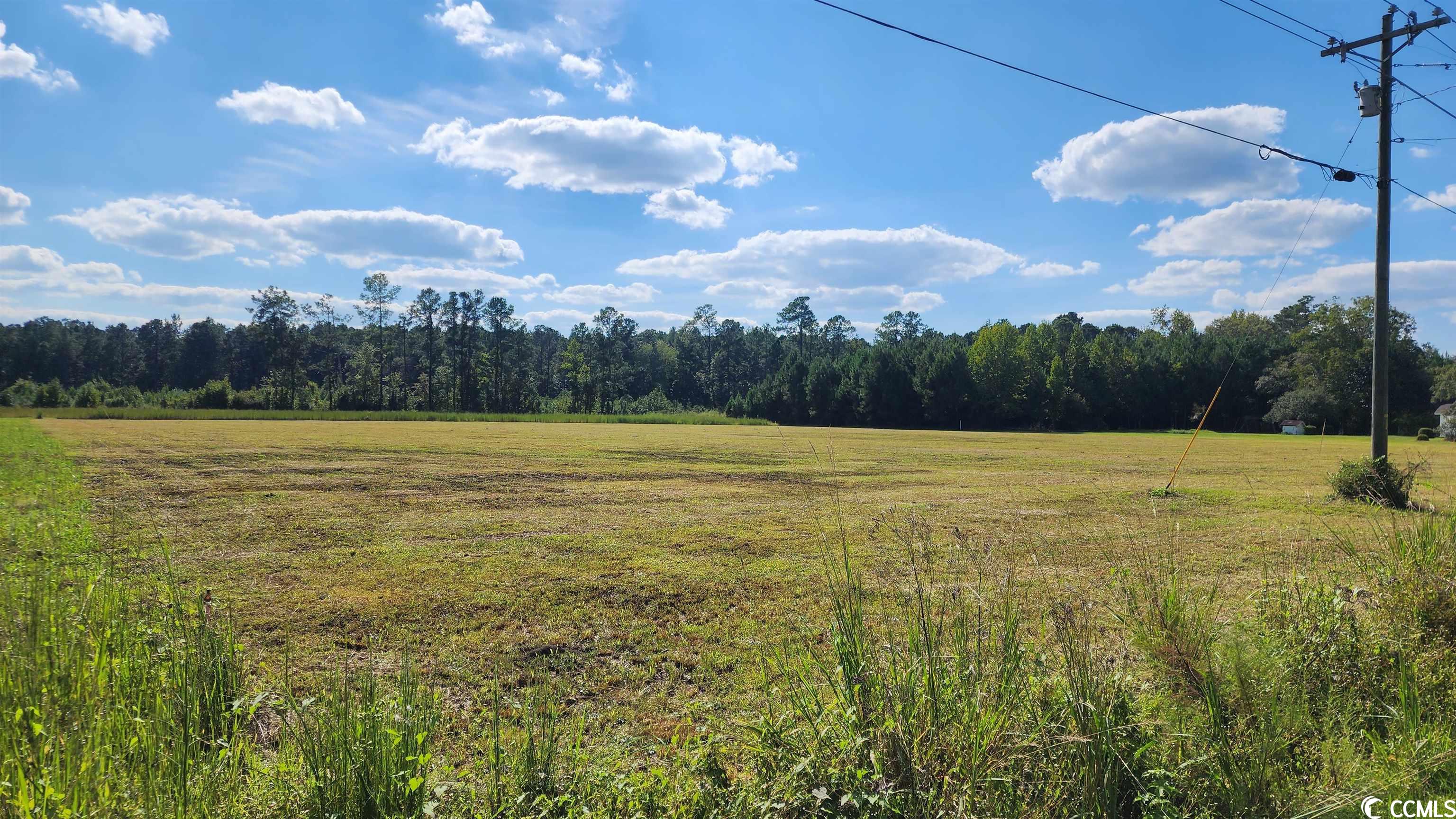 Lot 2 Hemingway Hwy. Hemingway, SC 29554