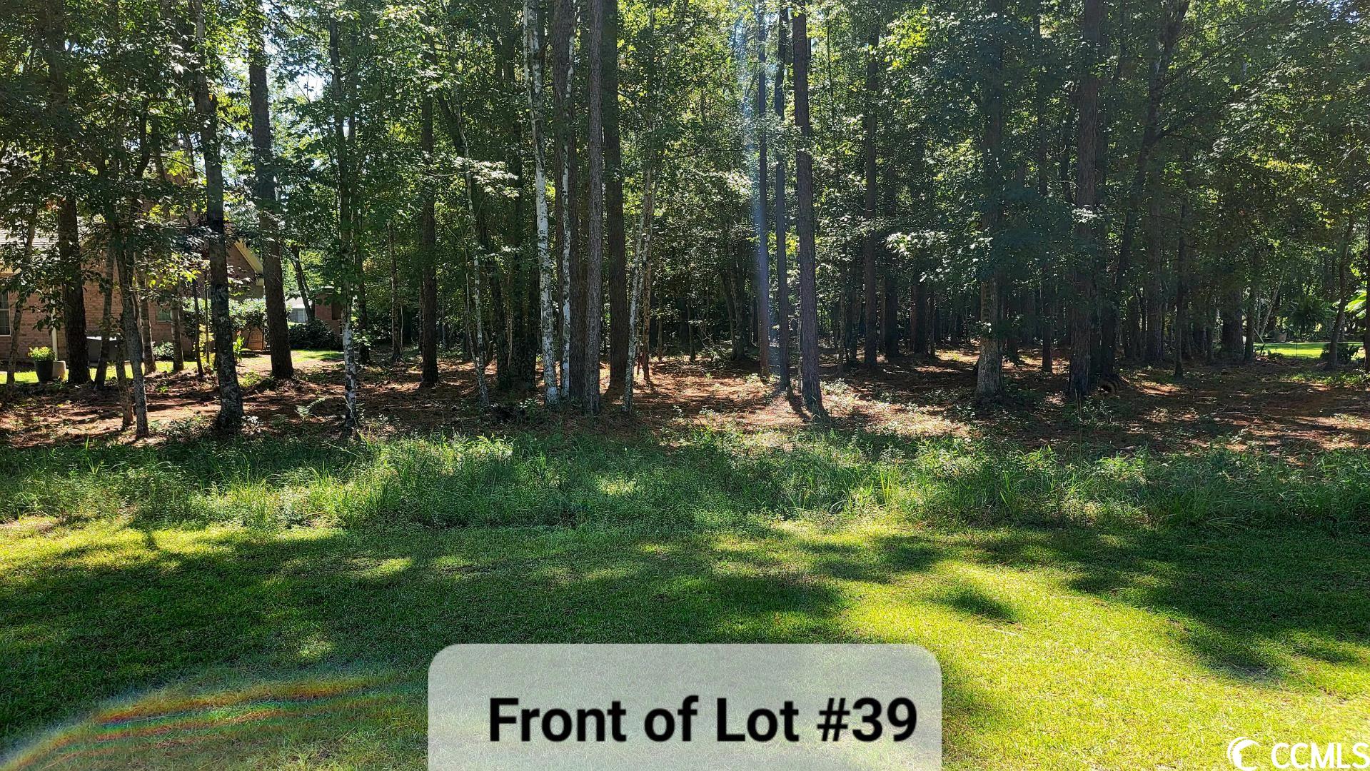 1414 Foxtail Dr. Longs, SC 29568