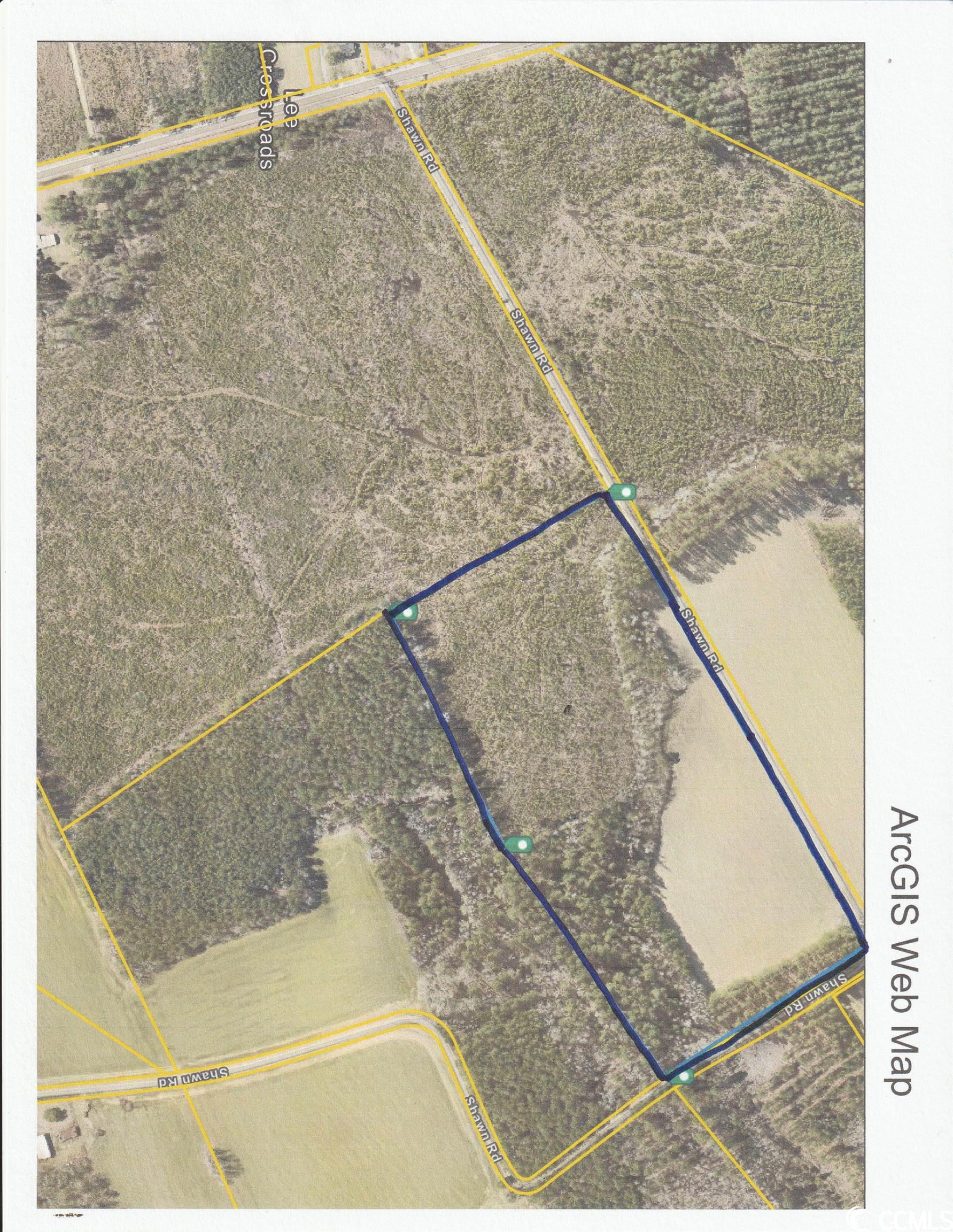 TBD Shawn Ln. Lake City, SC 29560