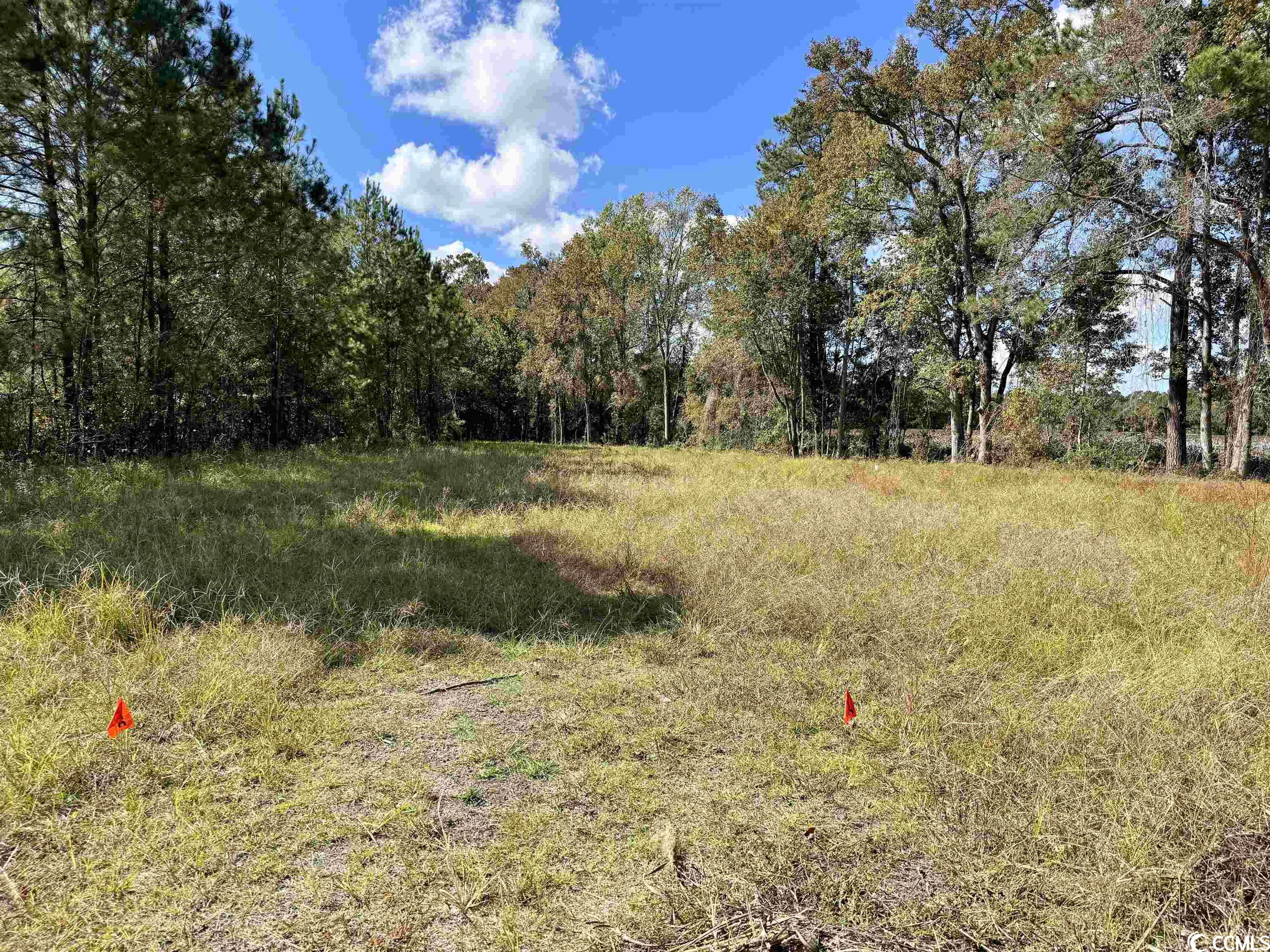 Bridgebrook Ln. Conway, SC 29527