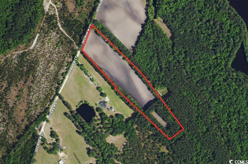 Not Within A Subdivision in Mullins Land 150,000 MLS 2322861