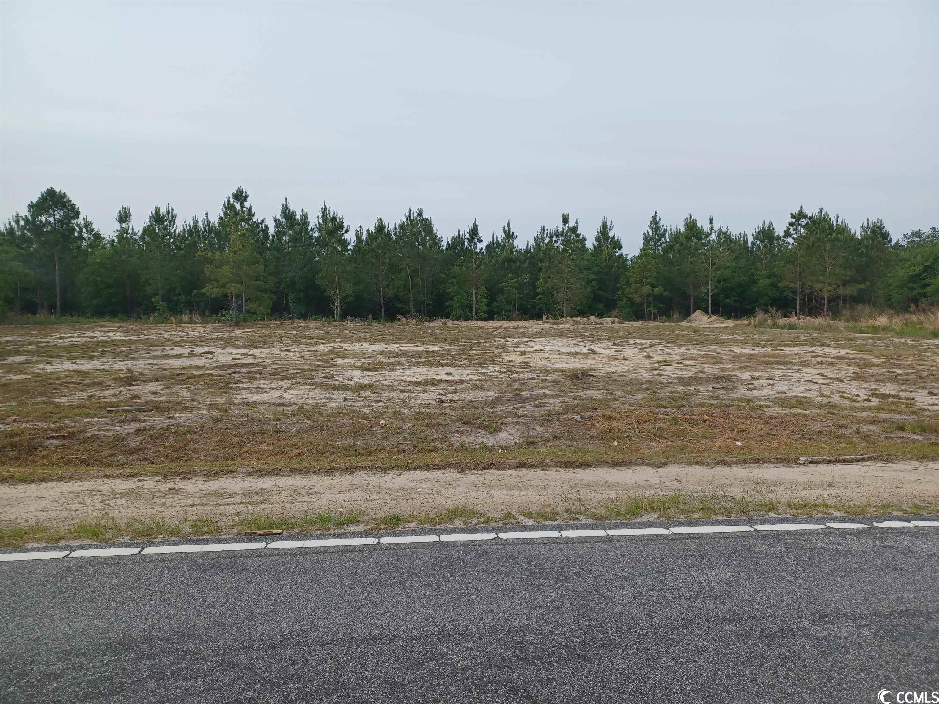 lot 13 Harper Rd., Marion, SC 29571