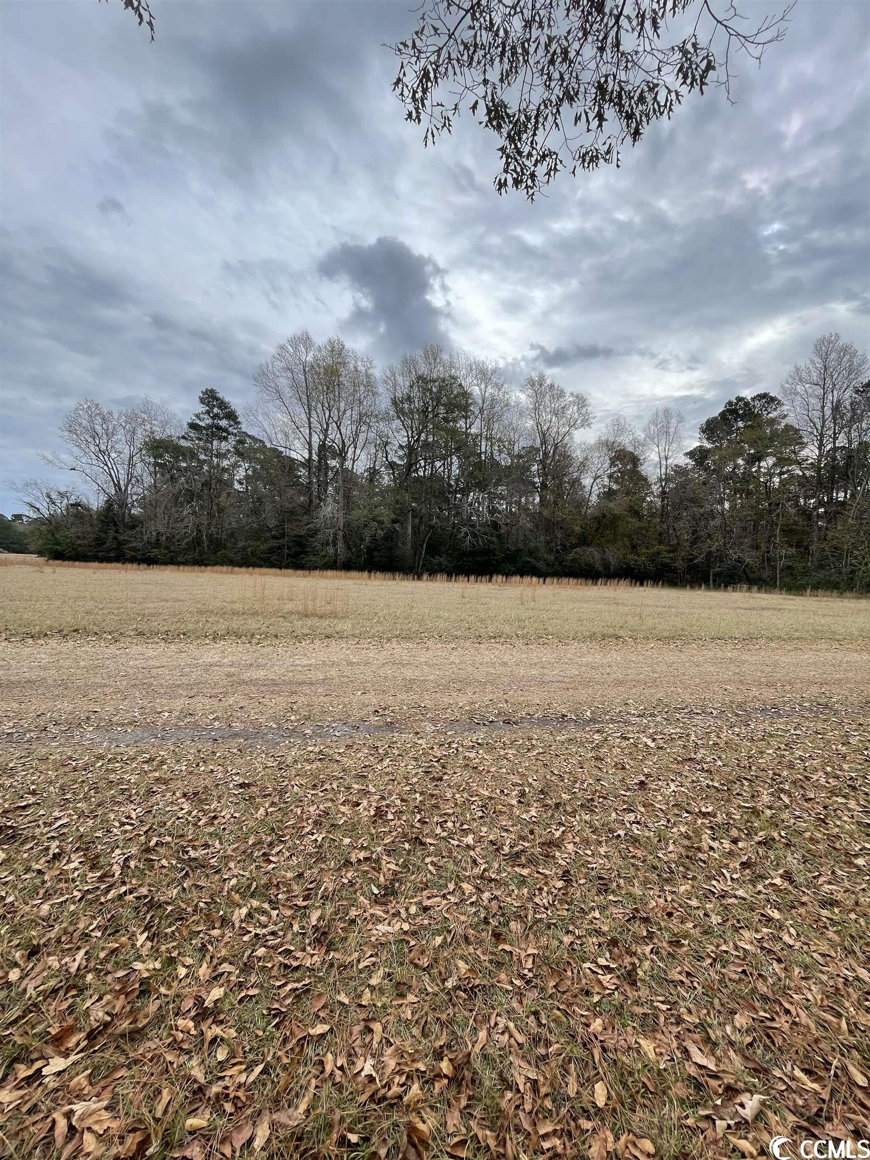 TBD Gurley Rd. Loris, SC 29569