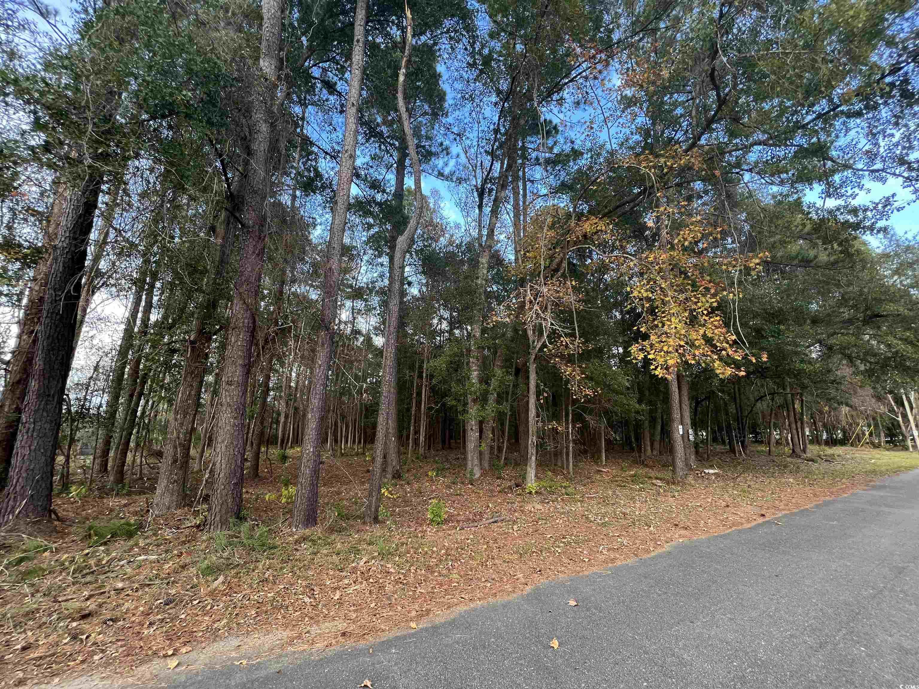 welcome to lot #15 on comanche drive.  this lot is unique because of its deeded private access to a boat landing accessing deep waters of the beautiful black river.  the landing is across the street from the lot and in short walking distance on a fenced in 1 acre river lot located between lots 5 and 6. the right to have access to the boat landing transfers with ownership and is perpetual and non-exclusive. the lot is approximately.87 of an acre and wooded with several oaks and many pines. it has recently been under brushed and is an easy walk through for viewing. the public browns ferry landing is less than a mile away and downtown georgetown is a short 20 minute drive by car. leave by boat and head towards winyah bay to fish for the big reds or pull into the beautiful historic district of georgeown to shop and dine. myrtle beach and charleston are both approximately 60 miles away.   **street has access to county water. ** **no trailers/campers are allowed on this street."** **lot size is approximate and                                                  must be verified by the buyer.** **said easement is expressly limited to the launching and retrieving of watercraft.**