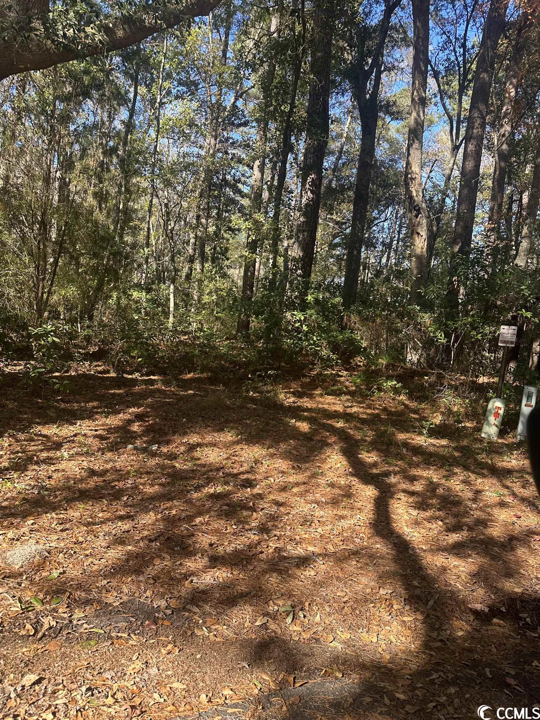Lot 122 Governor Boone Ln. Georgetown, SC 29440
