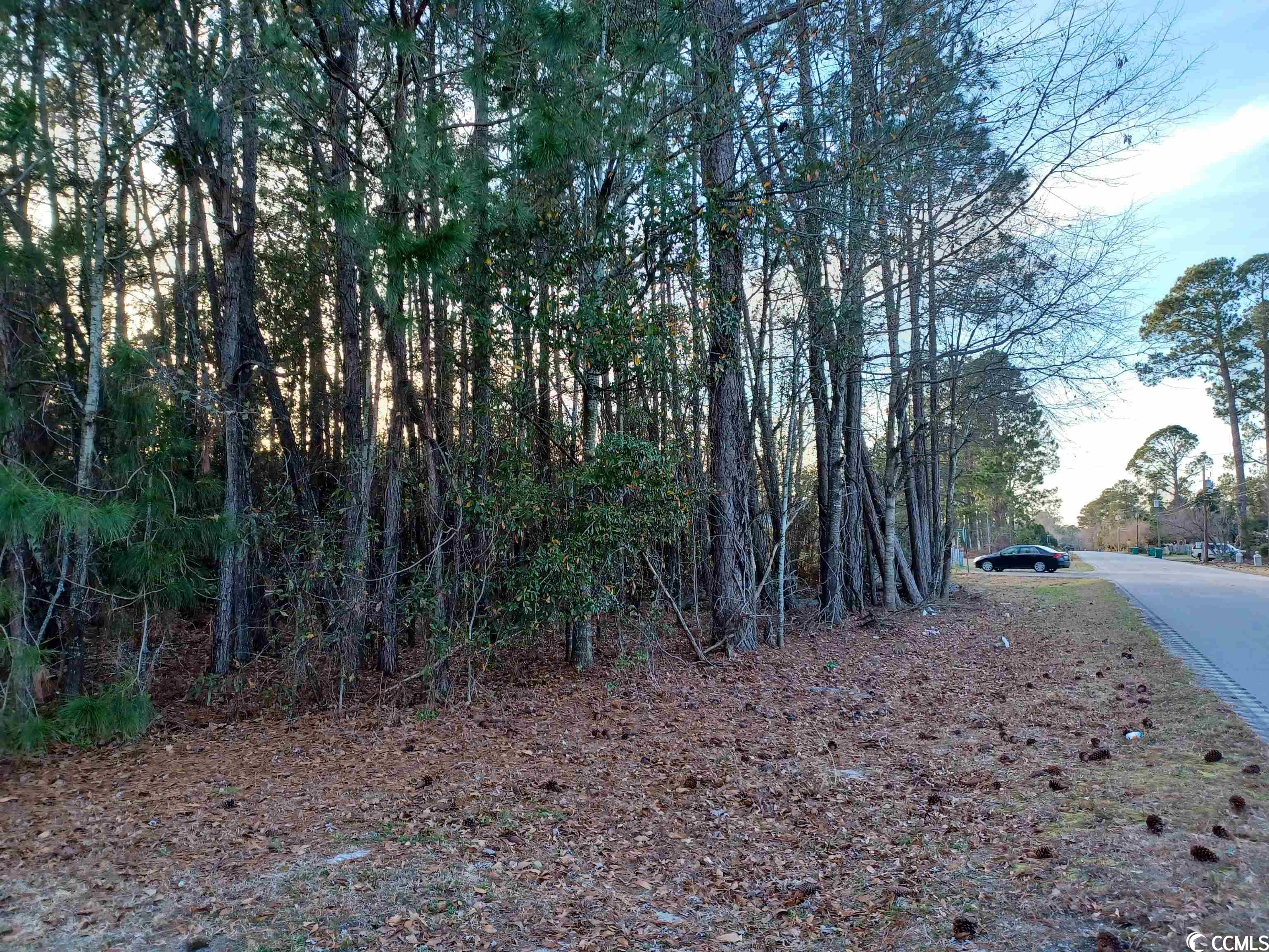 Lot 1C Peach Tree Rd. Marion, SC 29571