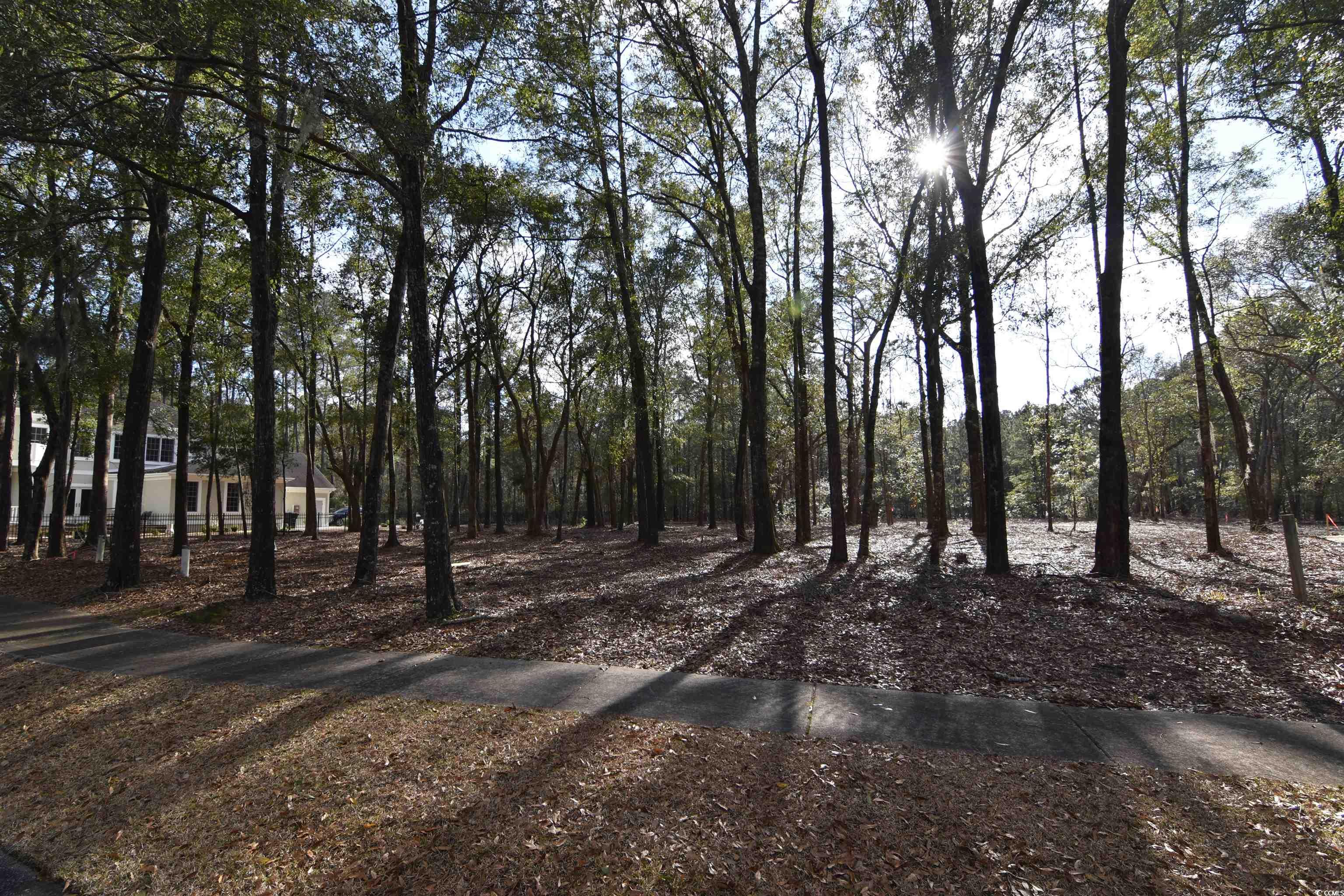 package deal for 2 lots and a 26' boat slip.  each lot is .28 of an acre side by side.  lot 16 is on the corner.  you can build one home on each lot or build a large home and combine both lots. harmony township is located in georgetown just up the sampit river from historic downtown front street. the sampit river provides deep water access to the icw that is just around the corner, which has direct access out to the atlantic ocean. there are underground utilities at the street in place and a community dock for harmony township owners.  this community is paradise for boaters! it has walking trails, paved streets, freshwater fishing ponds surrounded by woods and marshlands. it is situated on the south side of georgetown and less than 1 hour to charleston - no time frame in place to build.  call today for details!