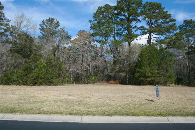 Lot 17 Hagar Brown Rd. Murrells Inlet, SC 29576