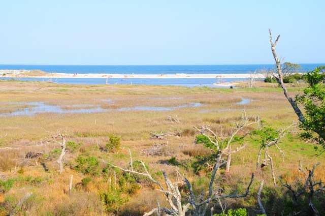 Lot 44 Vanderbilt Blvd. Pawleys Island, SC 29585