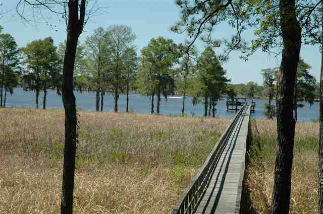 Lot 1 Bannockburn Dr. Pawleys Island, SC 29585