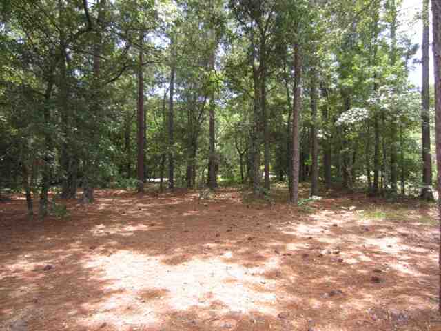 Lot 37 Georgetown Dr. Pawleys Island, SC 29585