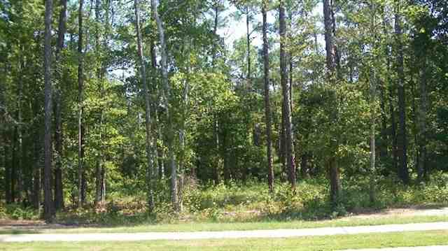 Lot 86 Chamberlain Rd. Myrtle Beach, SC 29588