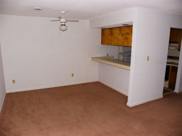 303 S Myrtle St. UNIT #203 Myrtle Beach, SC 29577