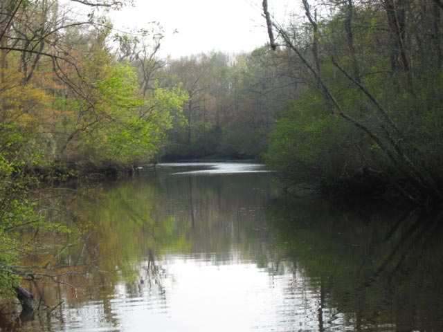 Lot 64 Bellwood Landing Murrells Inlet, SC 29576
