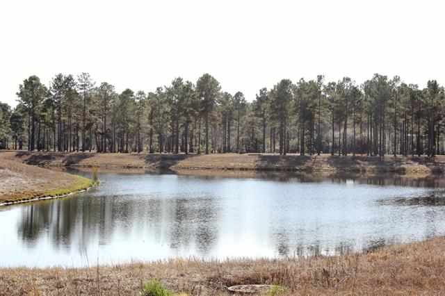 166 Waterbridge Blvd. Myrtle Beach, SC 29579