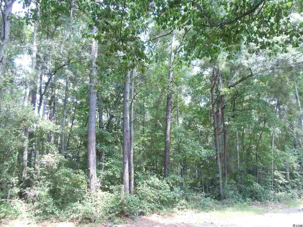 Lot 13 Boundary Ave. Garden City, SC 29576