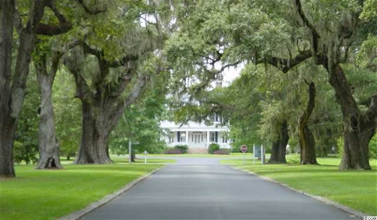 Lot 7 Tuckers Rd. Pawleys Island, SC 29585