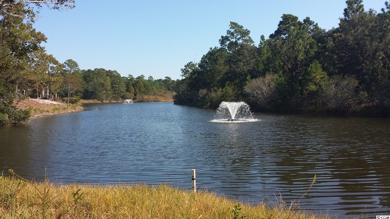 Lot 47 Bald Cypress Ct. Pawleys Island, SC 29585