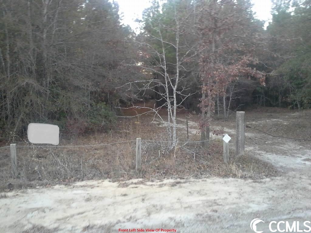 Not within a Subdivision Homes For Sale -  MW Stroud Rd., Nichols, SC - 6 