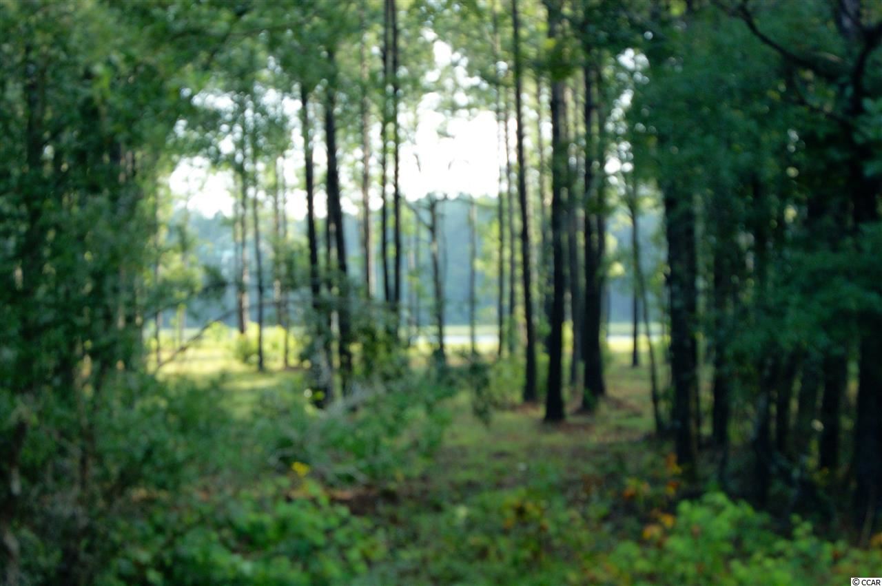 Lot 108 Vanderbilt Blvd. Pawleys Island, SC 29585