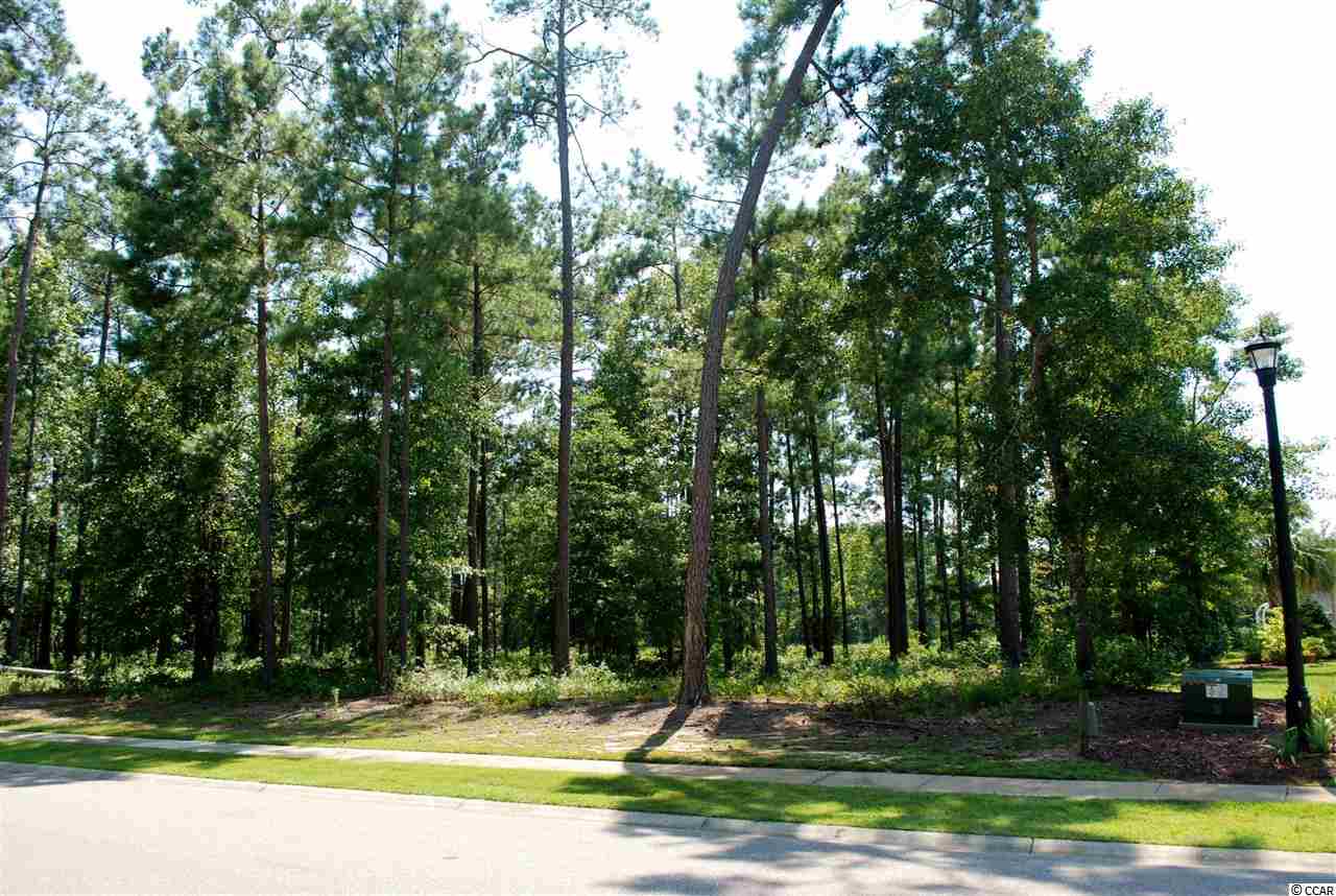 Lot 289 Byrnes Ln. Myrtle Beach, SC 29588