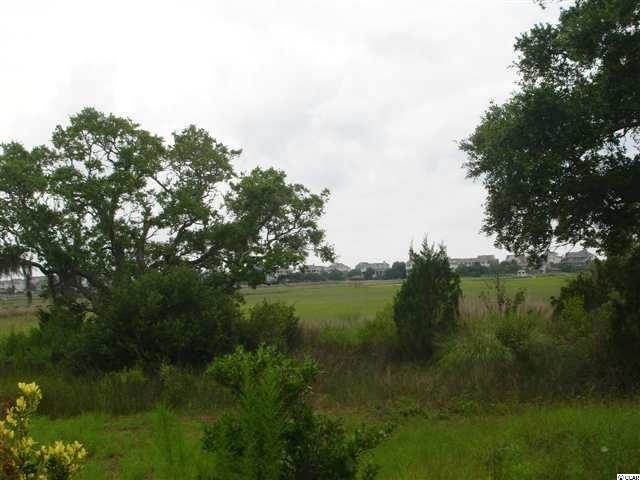 Lot 6 Cane Patch Pawleys Island, SC 29585