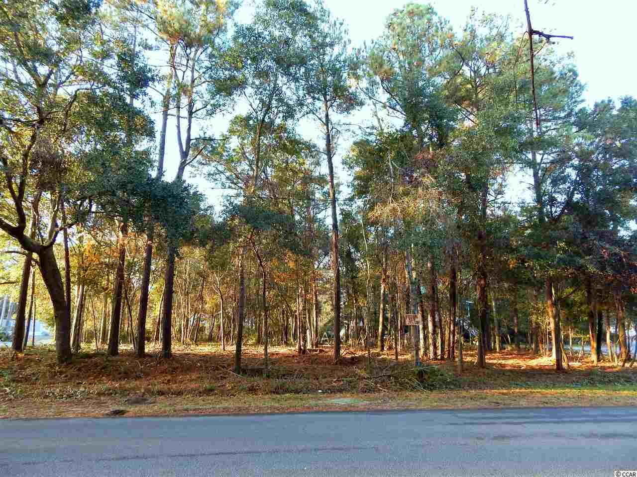 Lot 1-B Wando Dr. Garden City, SC 29576