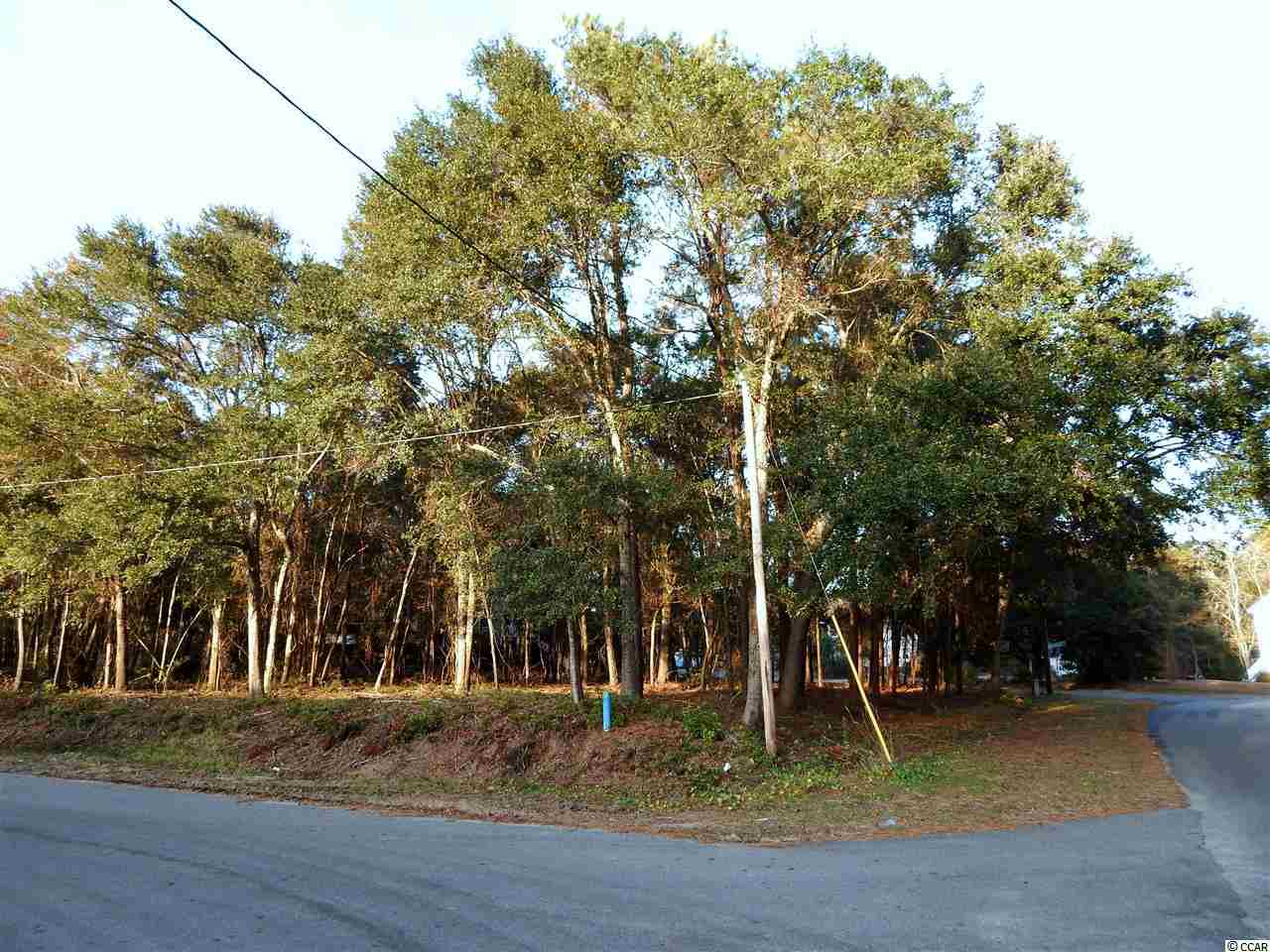 Lot 1 Elizabeth Dr. Garden City, SC 29576