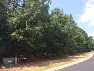 lot 63 Preservation Circle Pawleys Island, SC 29585