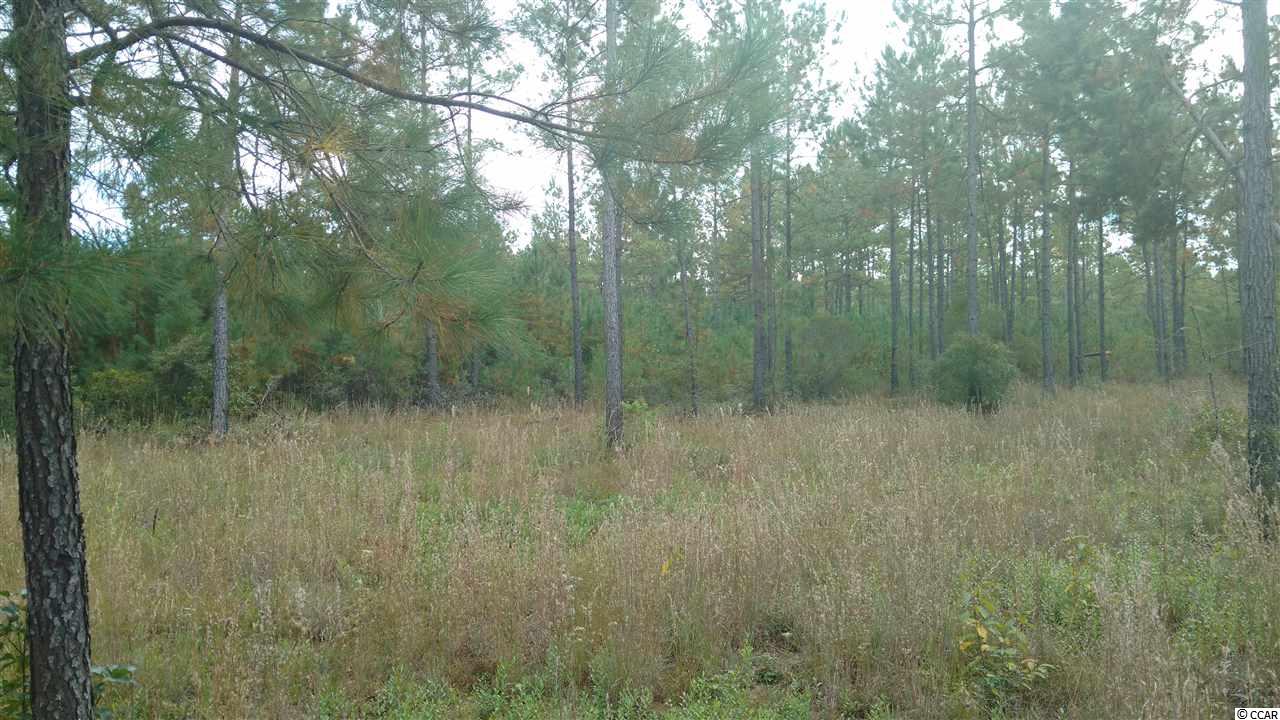 Lot 12 Samworth Loop Georgetown, SC 29440