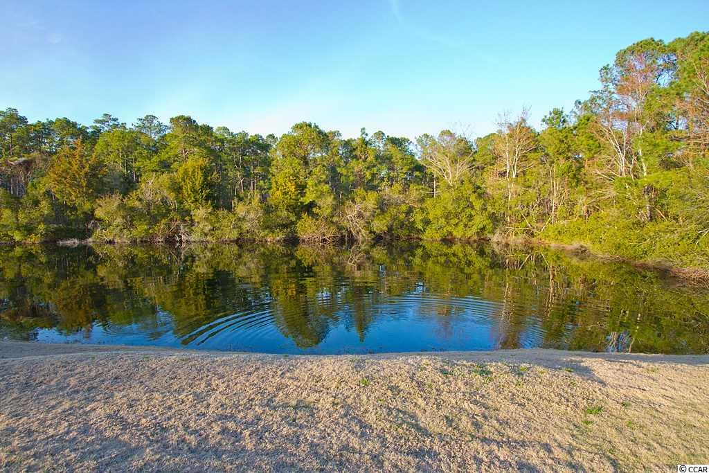 Lot 3 Collins Meadow Dr. Georgetown, SC 29440