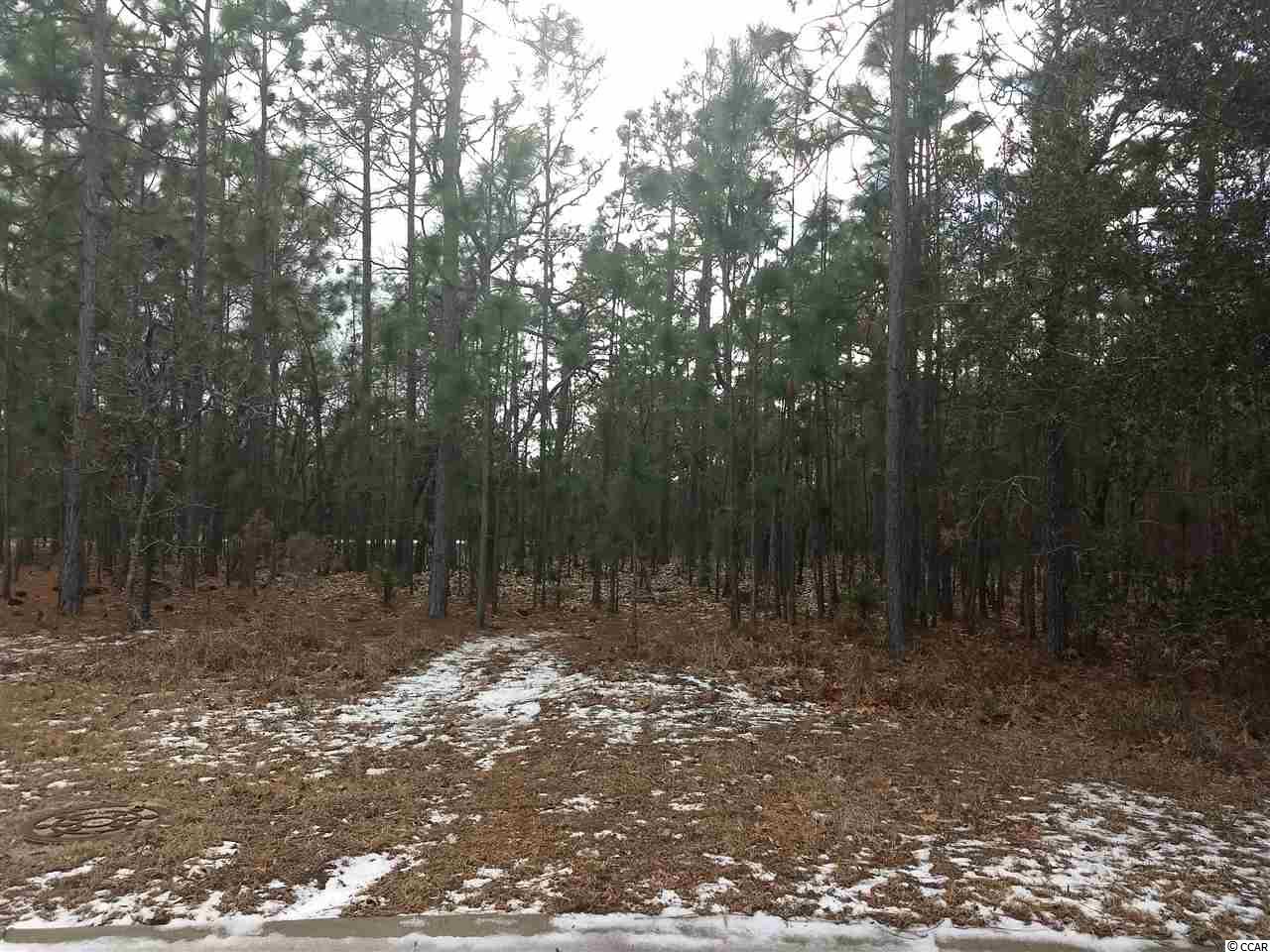 144 Bald Cypress Ct. Pawleys Island, SC 29585