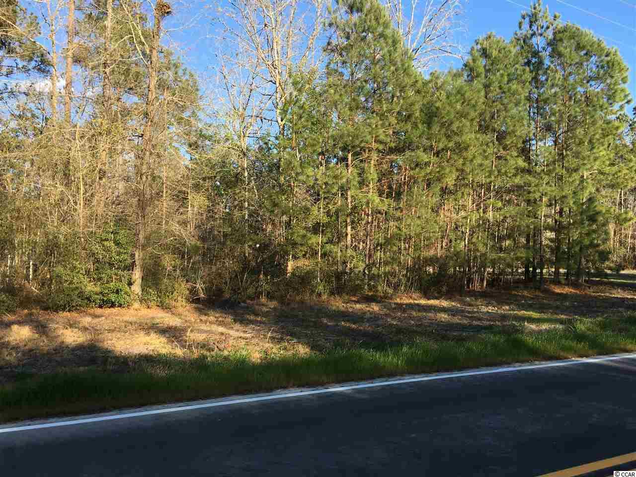 TBD Cat Tail Bay Dr. Conway, SC 29527