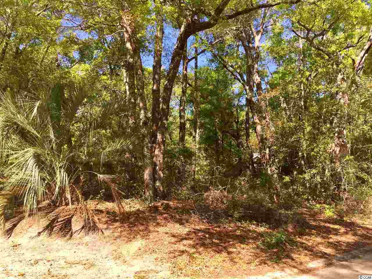 Lot 12 Hopeland Ct. Pawleys Island, SC 29585