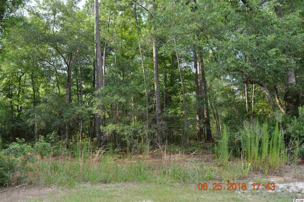 TBD Francis Marion Dr. Georgetown, SC 29440