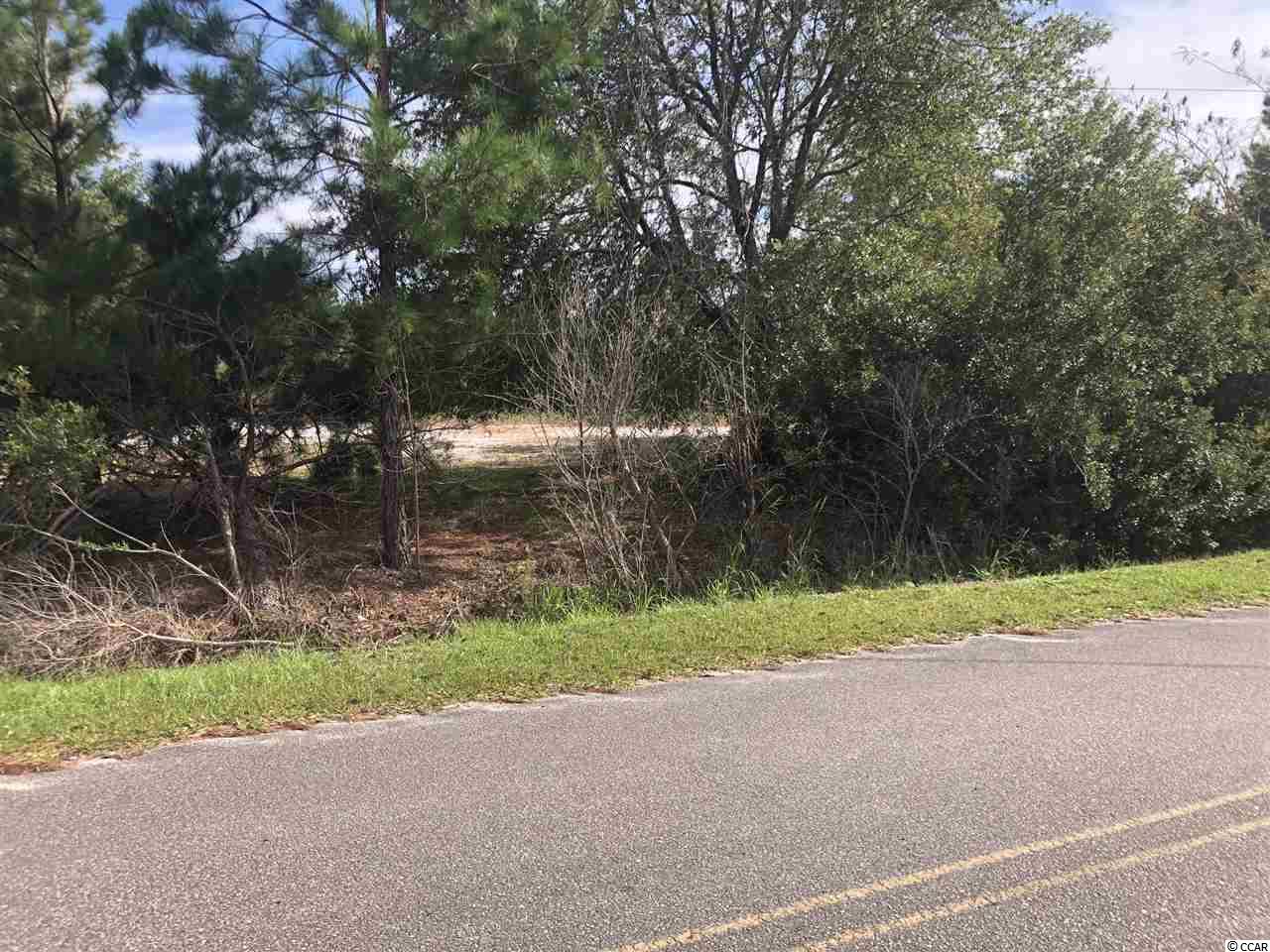 great one acre lot on frances marion drive.  125 feet of road frontage with water available.
