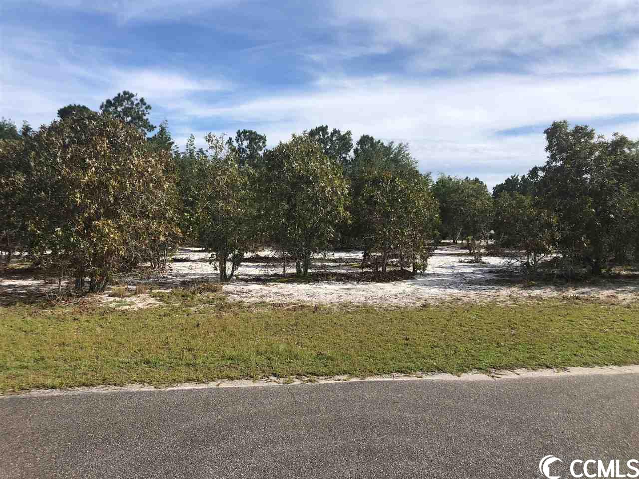 lot 5 in sand hill estates.  this 1 acre lot is ready to go with water available and 125 feet fronting frances marion drive.  buyers agent is responsible for measurements.