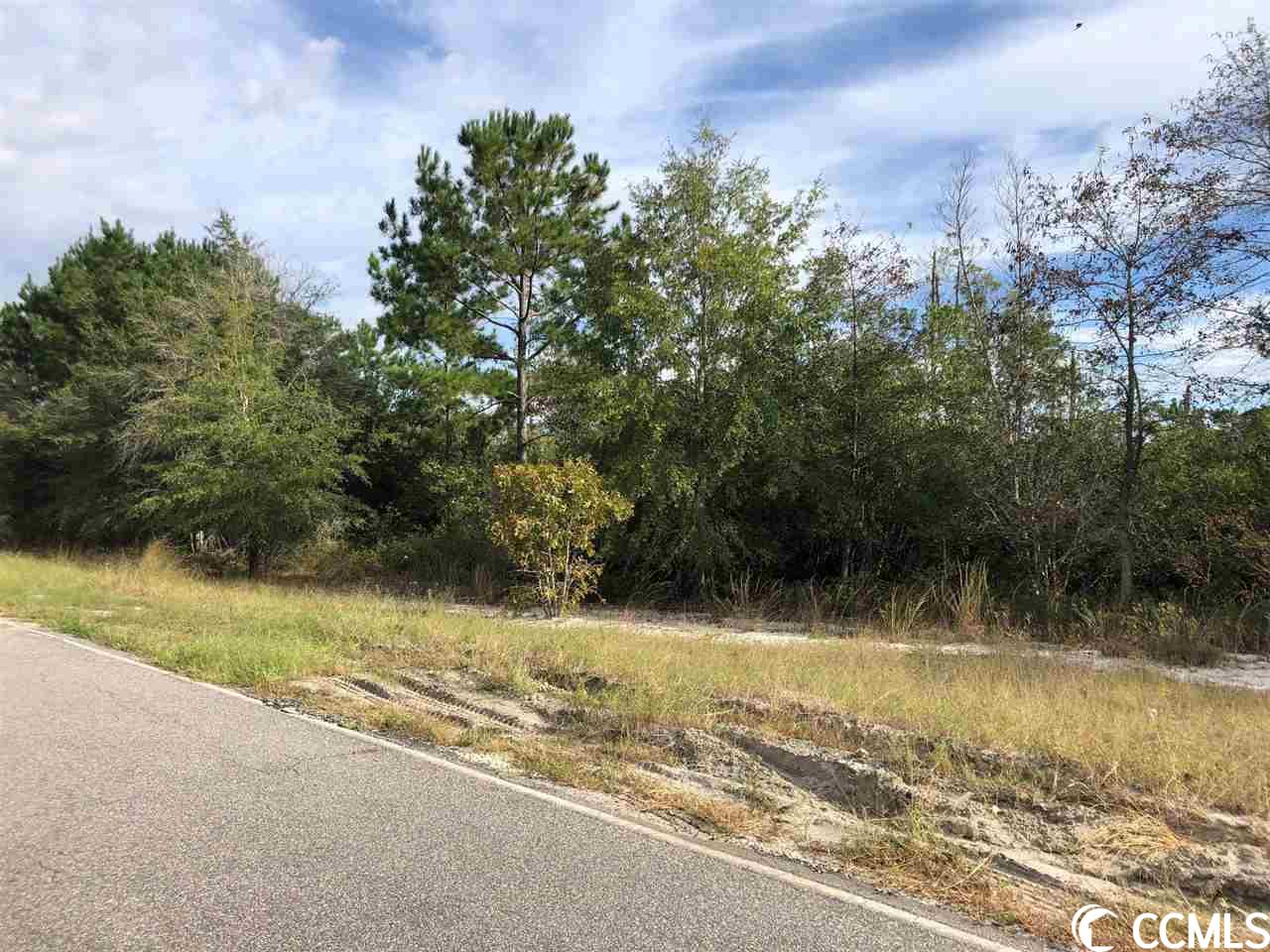 lot 6 in sand hill estates.  this 1 acre lot is ready to go with water available and 125 feet fronting frances marion drive.  buyers agent is responsible for measurements.
