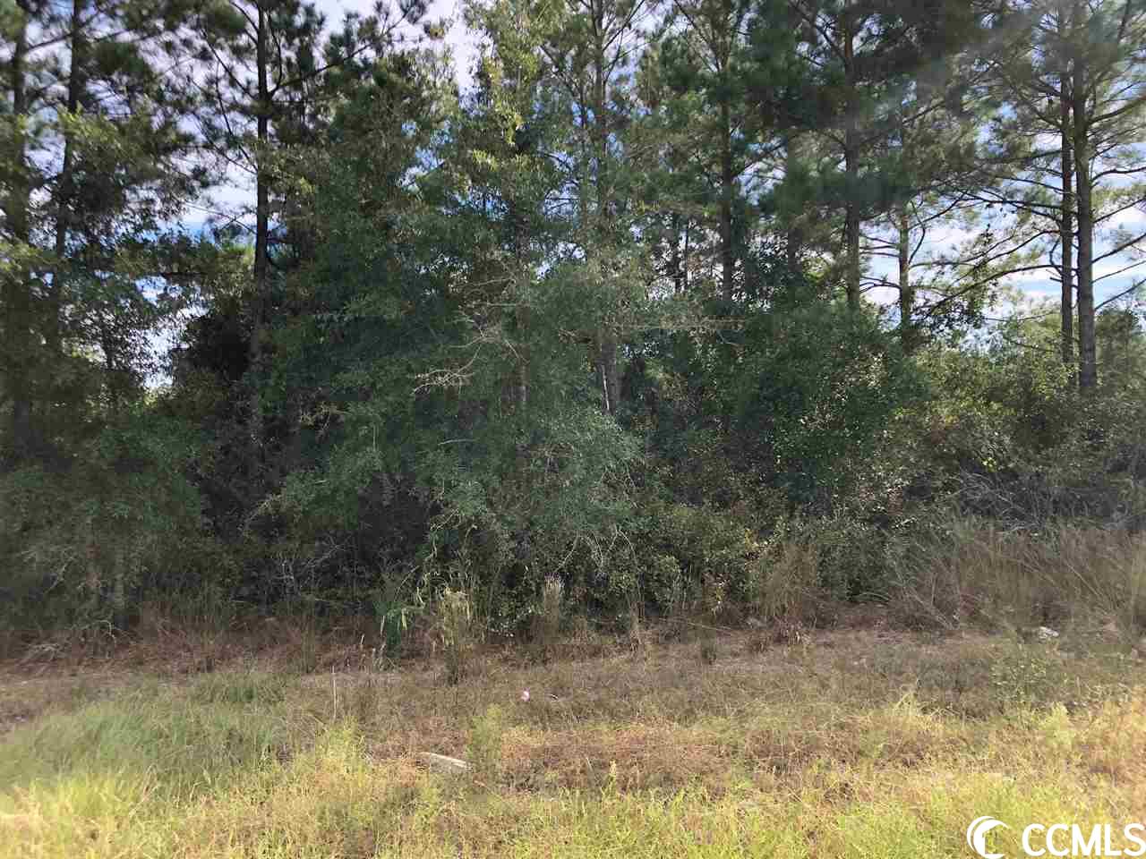TBD Francis Marion Dr. Georgetown, SC 29440