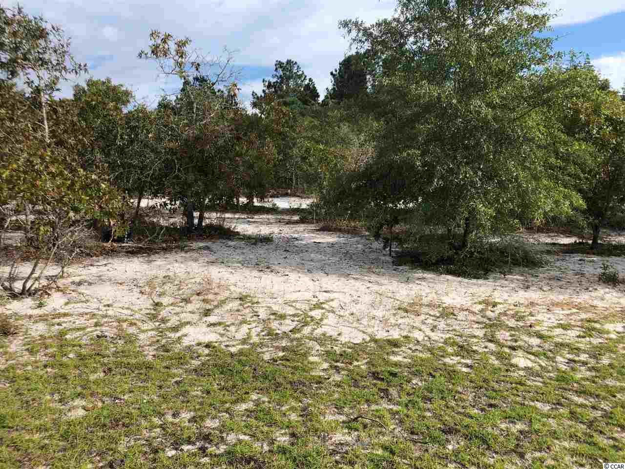 TBD Francis Marion Dr. Georgetown, SC 29440