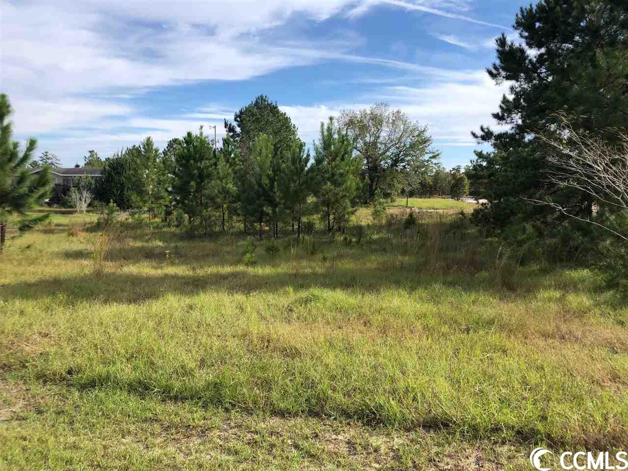 TBD Francis Marion Dr. Georgetown, SC 29440