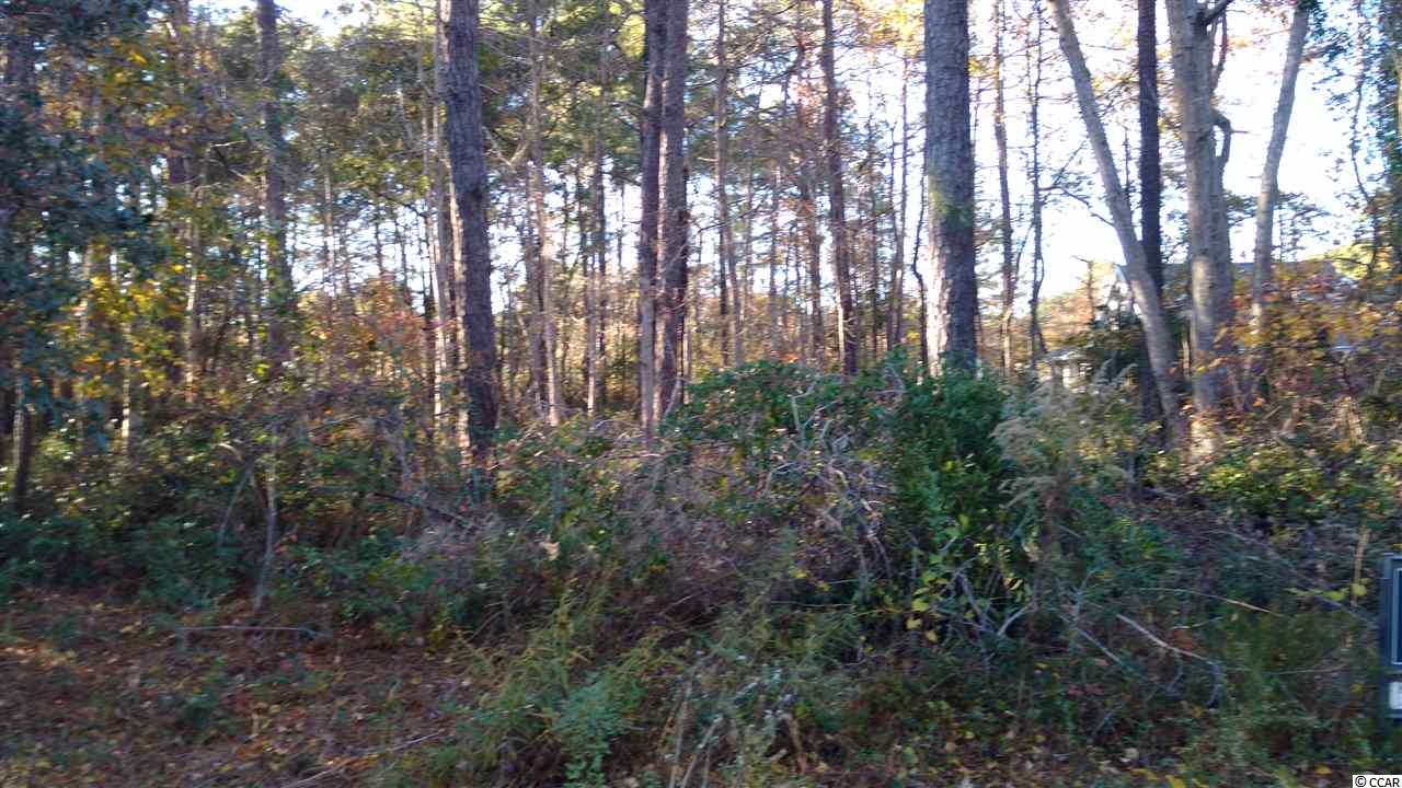 tbd Kings River Rd. Pawleys Island, SC 29585