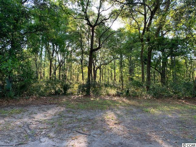 Lot 11 Lantana Circle Georgetown, SC 29440