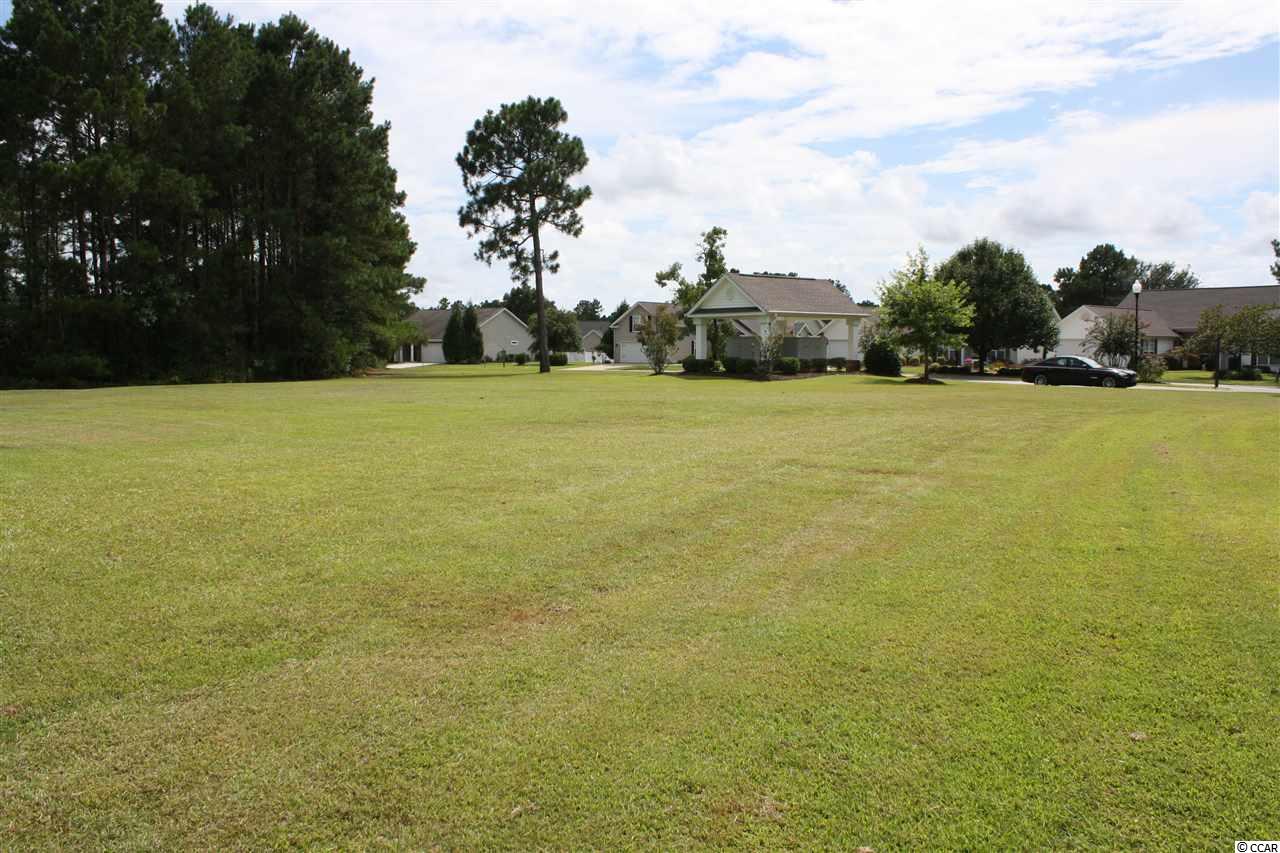 1401 Half Penny Loop Conway, SC 29526